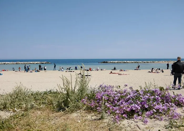 Traiano Luxury 巴里