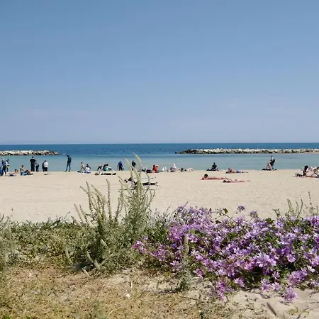 Traiano Luxury 바리